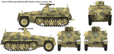 Das Werk DW16018 1/16 scale Sd.Kfz 250/1 Ausf. A decal option 3 - BlackMike Models