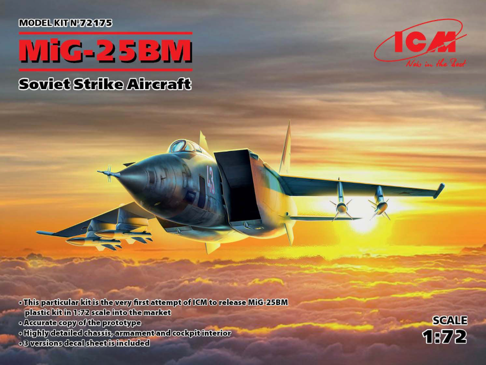 ICM 72175 1/72 Mig-25 BM Soviet Strike Aircraft kit - BlackMike Models